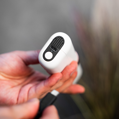 Nordtooth UV-Clean™